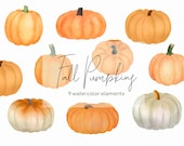 Watercolor Pumpkins - Orange Pumpkin - White pumpkin- gold pumpkin - Watercolor pumpkins - fall clipart - instant download - Commercial Use