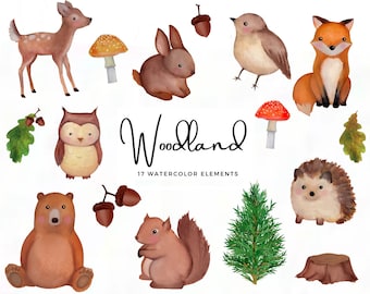 Woodland Watercolor - watercolor animals - forest clipart -  woodsy nature - clipart creatures - fall - autumn - instant - Commercial