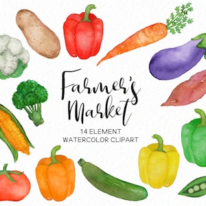 Handpainted Vegetable clipart - Watercolor veggies - pepper carrot eggplant corn - food grocery clipart - summer clipart -  - Commercial Use