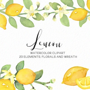 Handpainted Lemon clipart - Watercolor lemons - fruit clip art - spring clip art - summer clip art watercolor fruit -  download - Commercial