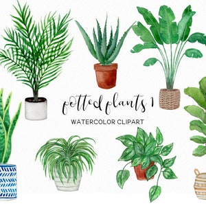 Puede incluir: Clipart de acuarela de ocho plantas en maceta, incluyendo una planta serpiente, aloe vera, una palmera, una higuera de hoja de violín y una monstera. Las plantas están en macetas variadas, incluyendo una maceta blanca, una maceta marrón, una maceta azul y blanca, y una cesta de mimbre. El texto "Potted Plants 1 Watercolor Clipart" está escrito en cursiva debajo de las plantas.