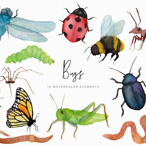 Watercolor Bugs - Watercolor insects spider butterfly clipart - spring clipart - animal clipart - nature clipart - download - Commercial