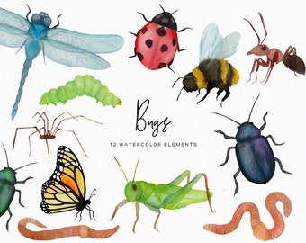 Insectes aquarelles - cliparts aquarelle insectes araignée papillon - clipart printemps - clipart animaux - clipart nature - téléchargement - Commercial