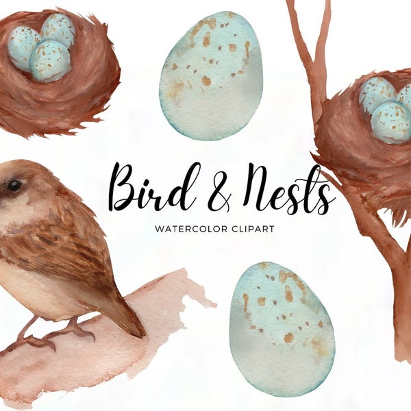 Watercolor Nest - Watercolor birds - Robin's egg - Robin clipart - bird egg - spring clipart - sparrow bird clipart - nature clipart