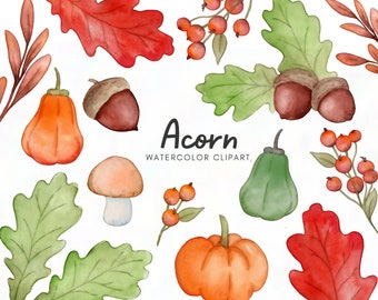Watercolor Acorn Clipart - Fall clipart - orange pumpkin - fall leaves  - pumpkin clipart - autumn clipart - oak leaf - download
