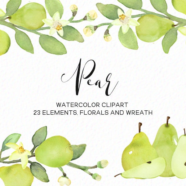Pear clip art - Watercolor pears - fruit clip art - spring clip art - summer clip art watercolor fruit - instant download - Commercial Use