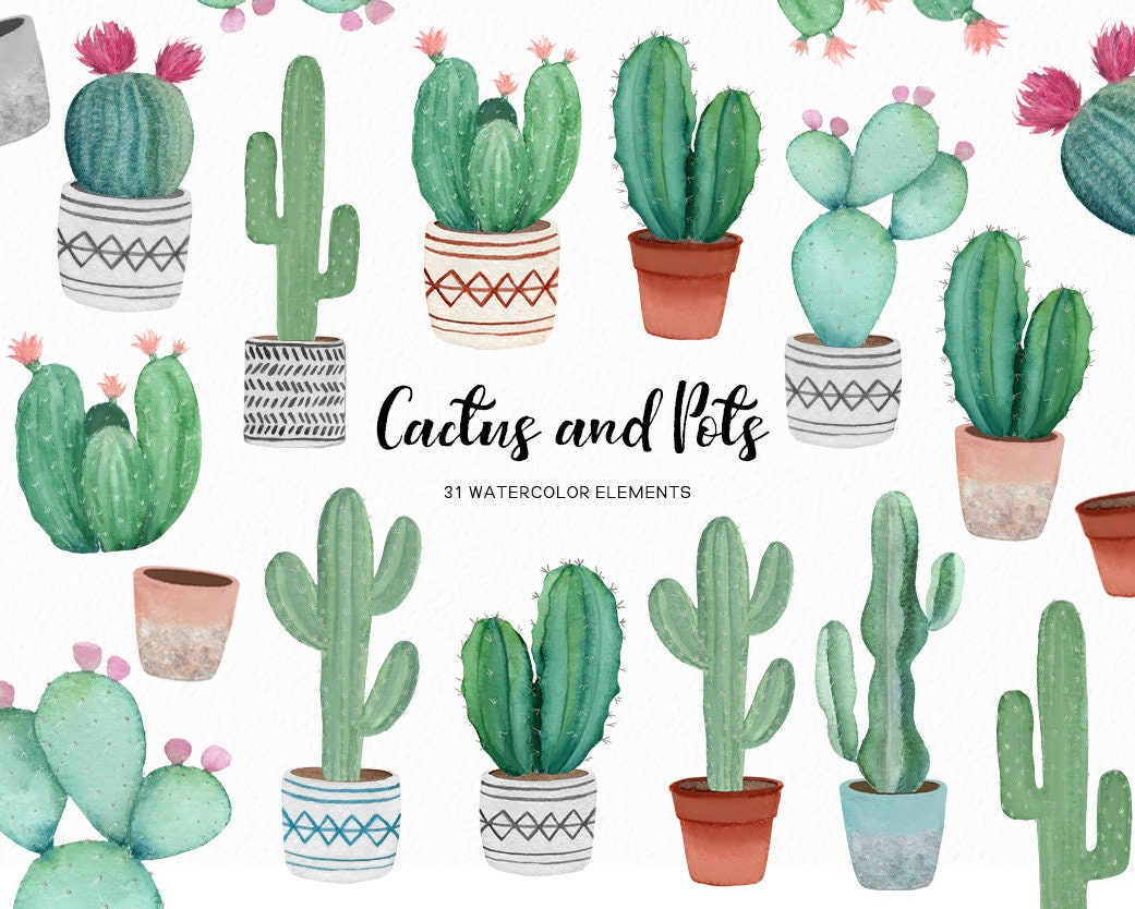 cactus and plant pots 11995485 PNG