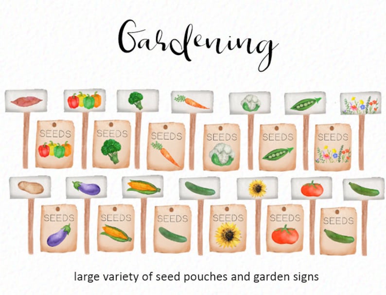 May include: A set of 12 watercolor illustrations of garden signs with various vegetables and flowers. Each sign has a brown wooden stick and a beige paper label with the word "SEEDS" printed on it. The vegetables include sweet potato, bell peppers, broccoli, carrots, cauliflower, peas, eggplant, corn, cucumbers, sunflowers, tomatoes, and zucchini.