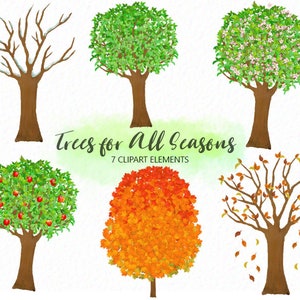 Op de afbeelding: Zeven aquarel illustraties van bomen in verschillende seizoenen. De bomen zijn afgebeeld in de winter, lente, zomer en herfst. De illustraties zijn perfect om een vleugje natuur aan uw ontwerpen toe te voegen.