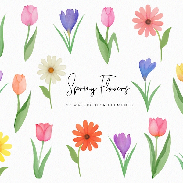 Watercolor flower clipart, botanical hand painted floral png, spring floral wildflower - tulip clipart illustrations for wedding, decor