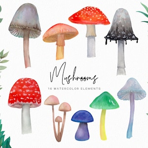 May include: Watercolor illustrations of 16 different mushrooms in various colors, including red, green, blue, and purple. The mushrooms are painted in a realistic style with detailed textures and shapes. The text "Mushrooms 16 Watercolor Elements" is written below the mushrooms.