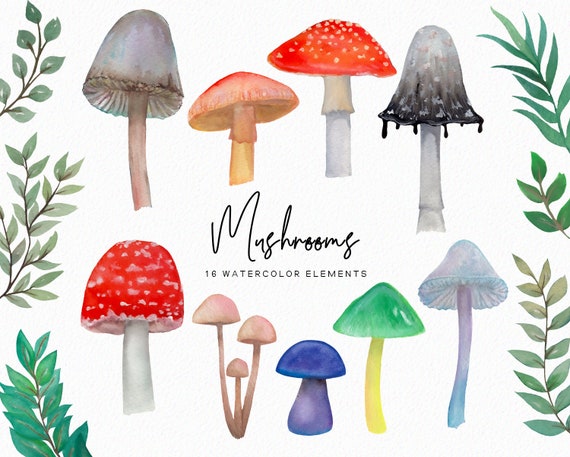 Handpainted Watercolor Mushroom - mushroom clipart - watercolor nature clipart - greenery clipart - witchy clipart -  download - Commercial