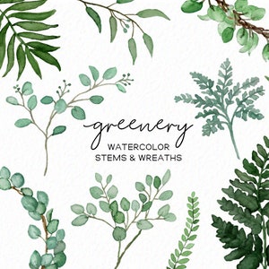 Handpainted - Watercolor greenery - Eucalyptus clipart - watercolor fern - botanical stems clipart - essential oils-  download - Commercial