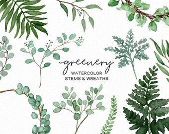Watercolor Greenery Clipart – Eucalyptus, Fern Stems (Digital Download)
