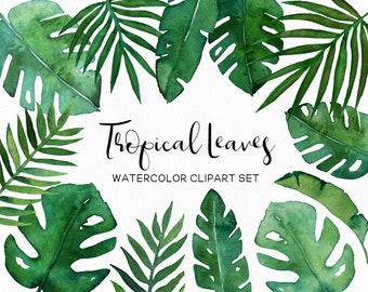 Watercolor 10x12 FT Photography Backdrop Exotic Fruits Pattern Pines Bananas Oranges Tropical Leaves Background for Party Home Decor Outdoorsy Theme Vinyl Shoot Props Green Yellow Pale Brown Watercolor 10x12 FT Photography Backdrop Exotic Fruits Pattern Pines Bananas Oranges Tropical Leaves Background for Party Home Decor Outdoorsy Theme Vinyl Shoot Props Green Yellow Pale Brown