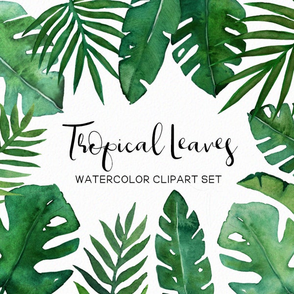 Watercolor tropical leaves - tropical clipart - watercolor monstera lea - palm tree clipart - beach summer - download - Commercial use