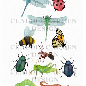 Watercolor Bugs Watercolor insects spider butterfly clipart spring clipart animal clipart nature clipart download Commercial image 2