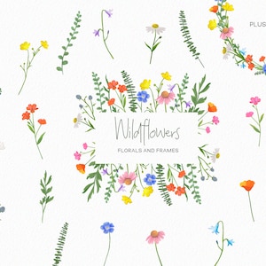 手描きの野生の花のクリップアート、植物の手描きの花のpngファイル、結婚式、装飾用の春の野生の花のイラスト