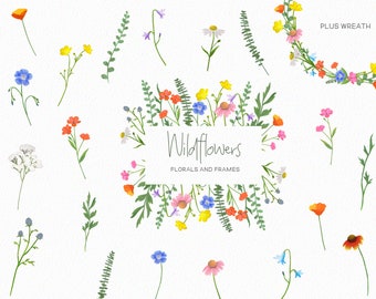 Handpainted Wildflower Clipart, Botanical Floral PNG (Digital Download)