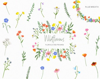 Wildblumen-Clipart, botanische handgezeichnete florale PNG-Dateien, Frühlings-Wildblumen-Illustrationen für Hochzeit, Dekor