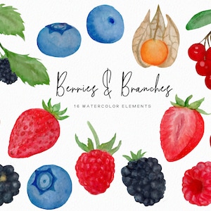 handpainted Berry clipart - Watercolor fruit - berries clipart - spring summer clipart strawberry raspberry blackberry - Commercial