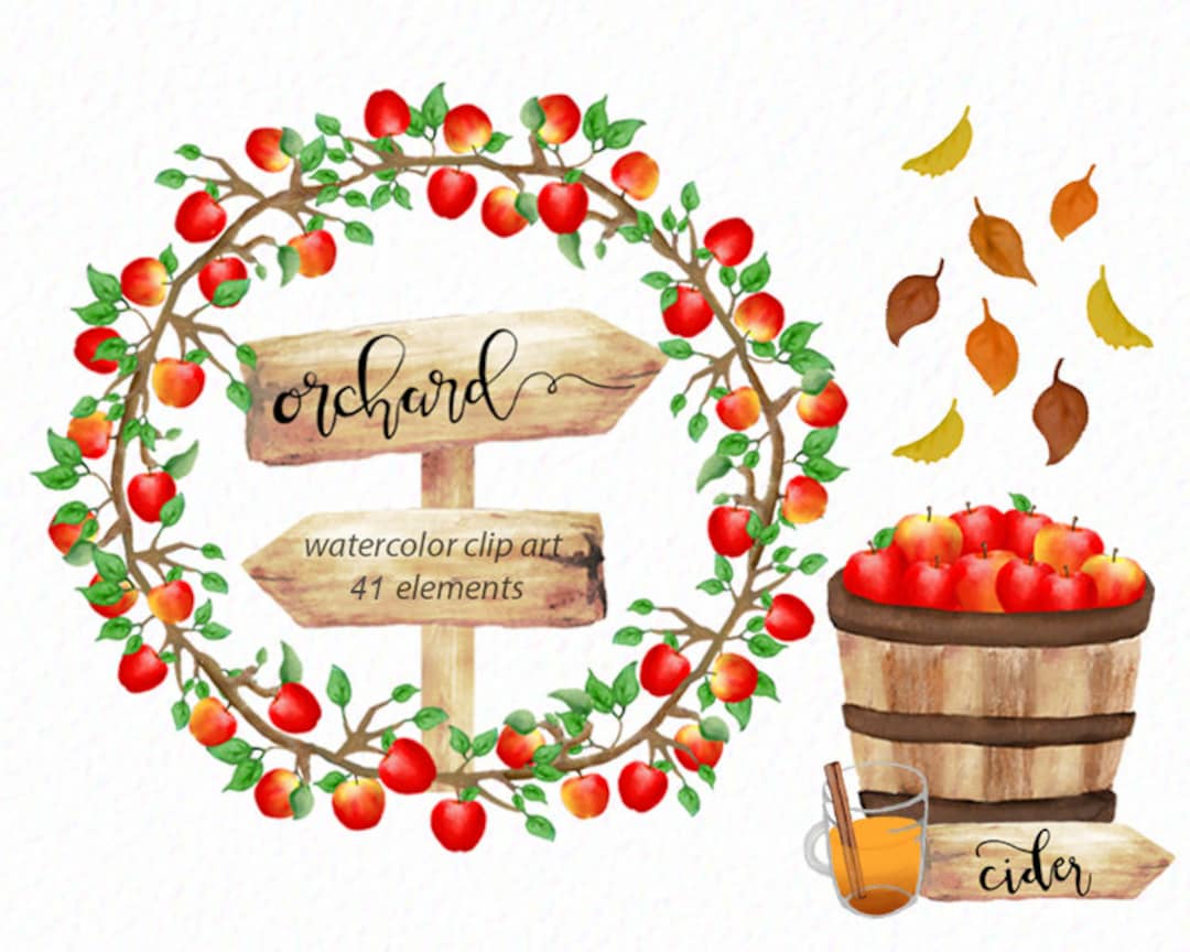 Apple Orchard Clip Art Watercolor Apples Fruit Clipart Apple Clipart Fall  Clipart Autumn Clipart Instant Download Commercial - Etsy