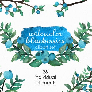 Blaubeere Clipart - Aquarell Blaubeeren - Obst Clip Art - Sommer Aquarell Obst - Sofortdownload - Kommerzielle Nutzung