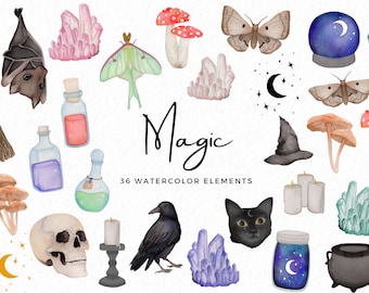 Watercolor Halloween Clipart – Witch, Skull, Moth (Digital Download)