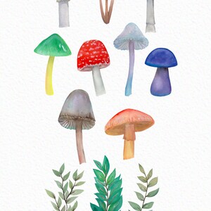 May include: Watercolor illustrations of 16 different mushrooms in various colors, including red, green, blue, purple, and brown. The mushrooms are depicted with different shapes and sizes, and some have white spots. The image also includes several green watercolor leaves.