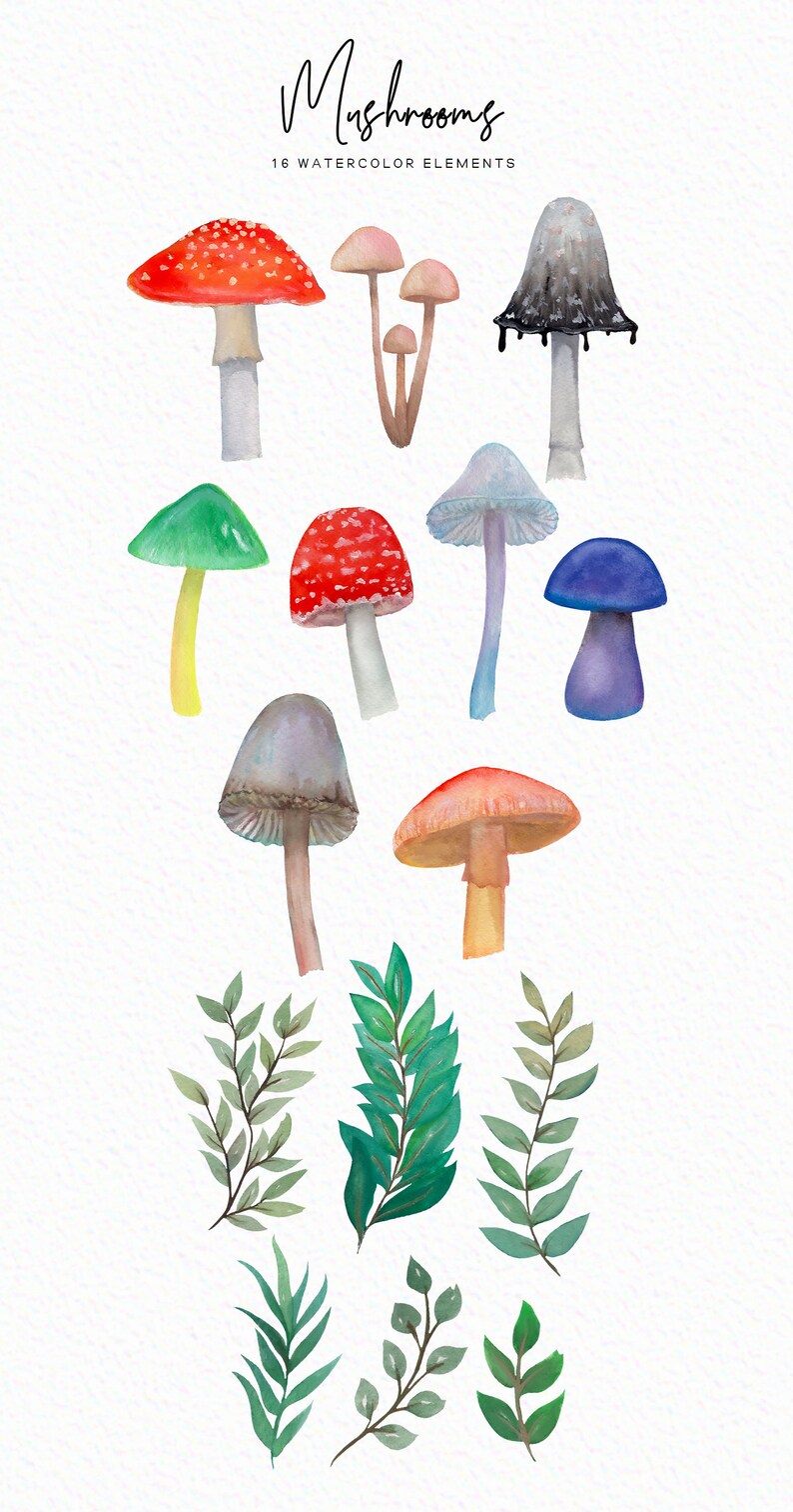 May include: Watercolor illustrations of 16 different mushrooms in various colors, including red, green, blue, purple, and brown. The mushrooms are depicted with different shapes and sizes, and some have white spots. The image also includes several green watercolor leaves.