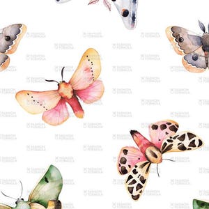 Moths fabric by Kate_Rina - Cotton/ Polyester/ Jersey/ Canvas/ Digital Printed
