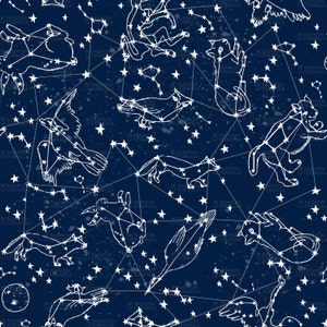 Constellations 2 fabric by andrea_lauren