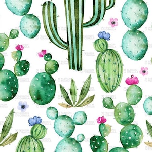 Tessuto Cactus di Kate_Rina - Cotone/ Poliestere/ Jersey/ Tela/ Stampato digitale