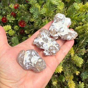 Snakeskin Agate, S M L XL Jumbo, Rare Australian Agate, Australia, Root and Sacral Chakra, Reiki Blessed, Transformation & Renewal