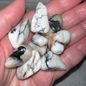 Peut inclure: Une collection de huit pierres blanches roul&eacute;es avec des veines noires et brunes. Les pierres sont lisses et polies, et elles ont un aspect naturel et organique.