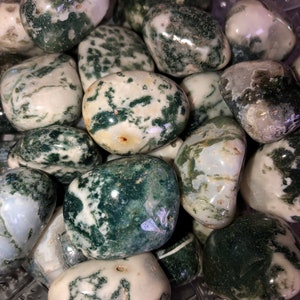 Tree Agate, S/M/L/XL, Green Dendritic Tumbled Agate