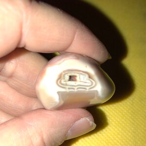 May include: A close-up of a white agate stone with brown banding. The stone is smooth and polished, and the banding is visible in the center of the stone.