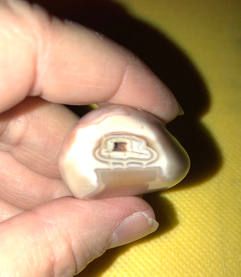 May include: A close-up of a white agate stone with brown banding. The stone is smooth and polished, and the banding is visible in the center of the stone.