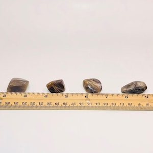 May include: Five brown and grey tumbled stones of varying sizes and shapes, lined up on a wooden ruler with inch markings.