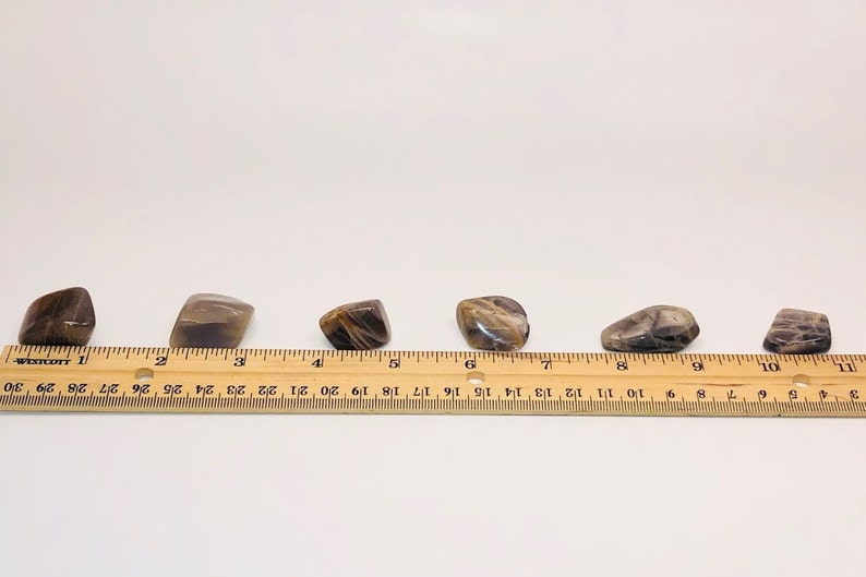 May include: Five brown and grey tumbled stones of varying sizes and shapes, lined up on a wooden ruler with inch markings.