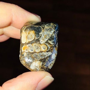 May include: A close-up of a polished agate stone with a swirling pattern of brown, white, and blue. The stone has a smooth, rounded surface and is a natural gemstone.