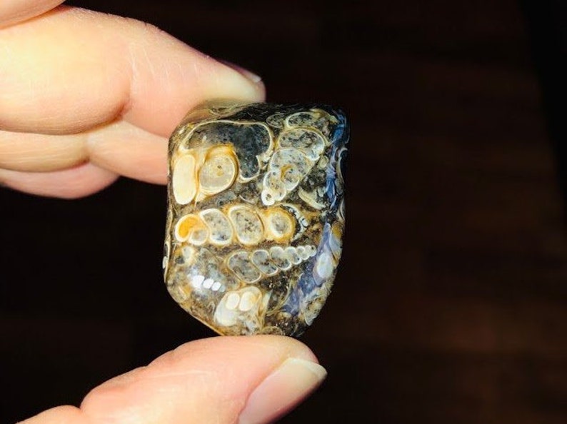May include: A close-up of a polished agate stone with a swirling pattern of brown, white, and blue. The stone has a smooth, rounded surface and is a natural gemstone.