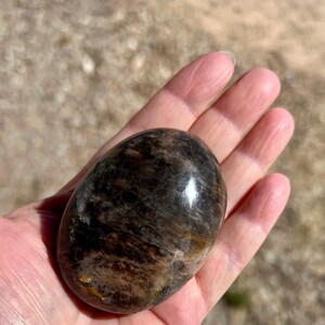 May include: A smooth, oval-shaped black sunstone with a high polish. The stone has a dark brown color with hints of gold and silver.