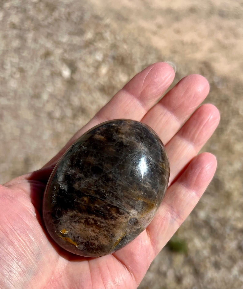 May include: A smooth, oval-shaped black sunstone with a high polish. The stone has a dark brown color with hints of gold and silver.