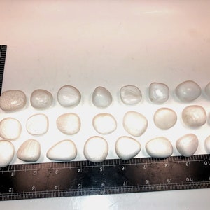 May include: Twenty-four white, smooth, oval-shaped stones arranged in rows on a black ruler. The ruler is marked in inches.