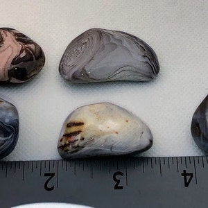 May include: Five agate stones with different patterns and colors, including pink, gray, and brown. The stones are arranged on a white surface with a ruler for scale.