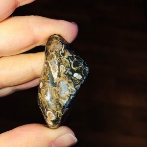 May include: A brown and white agate stone with a unique pattern of swirls and circles. The stone is smooth and polished.
