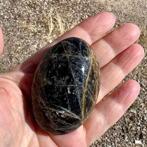 May include: A black and gold polished gemstone egg, with a smooth, rounded surface. The egg is held in a hand, showcasing its size and shape.
