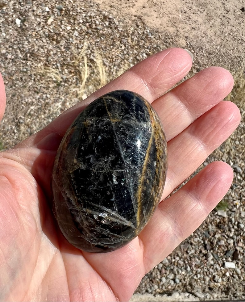 May include: A black and gold polished gemstone egg, with a smooth, rounded surface. The egg is held in a hand, showcasing its size and shape.
