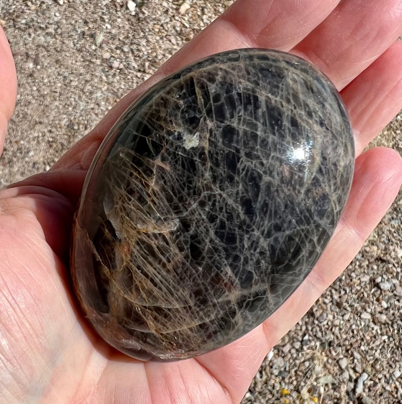 May include: A smooth, black and gold sunstone palm stone with a web-like pattern.